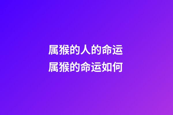 属猴的人的命运 属猴的命运如何